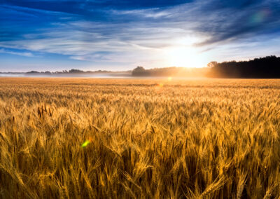 Children and Families in Rural Kansas Gap Analysis